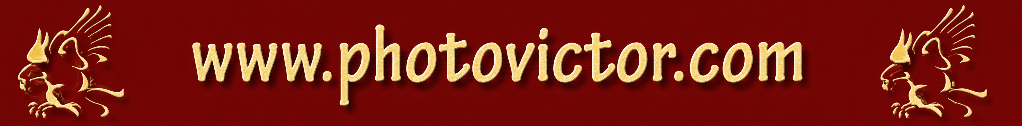 Banner di un inserzionista FotoBanner.it
